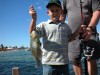 Another little bluebone - Denham fishing fiesta 08